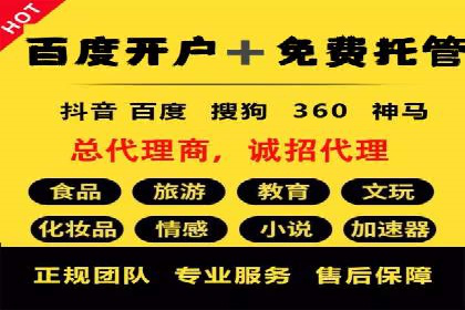 揭秘：成功SEM推广代运营公司案例解析